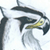 :iconAerohemisphere:
