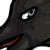 :iconaeroleo: