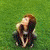 :iconaeromusical: