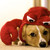 :iconaerotemfm: