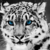 Aerowwlover :iconaerowwlover: