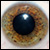 :iconAerumnosus: