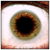 :iconaerumnosus: