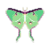 :iconaerynsivahn: