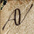 :iconaerynv: