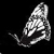 :iconaesterium: