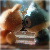 :iconaestheticreflections: