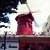 :iconaethelwyne-rie: