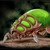 :iconaethersmite: