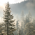 :iconaetherum: