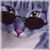 :iconaethubryn: