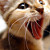 :iconaewhitepanther: