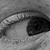 :iconafanasov: