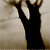 :iconafewimages: