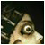 :iconafficial: