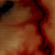 :iconafgncarp: