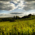 :iconafinch89: