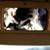 :iconaflyingmachine: