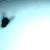 :iconafreaky: