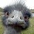 :iconafter-eight: