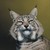 :iconaftynsrlynx: