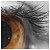 :iconag-nieszka: