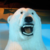 :iconag3nt-k0wa1ski: