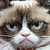 :iconagainsthelaw: