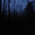 :iconagatus: