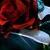 :iconagelessvampire17:
