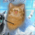 :iconagen0rangecat: