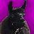 :iconagentcoffee007: