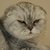 :iconaggressivemix: