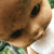 :iconAgHx:
