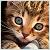 :iconagig112: