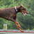 :iconagility-nerd: