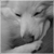 :iconagilityaddict: