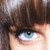 :iconagne: