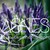 :iconagnesbphoto:
