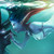 :iconagragg10: