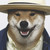 :iconags22: