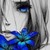 :iconagulenkaa: