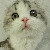 :iconaguss1193: