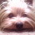 :iconagustina310: