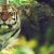 :iconaharperphotography:
