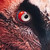 :iconahi-mano: