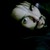 :iconahmadnab:
