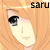 :iconaho-saru:
