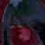 :iconahop07: