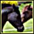 :iconahorselv: